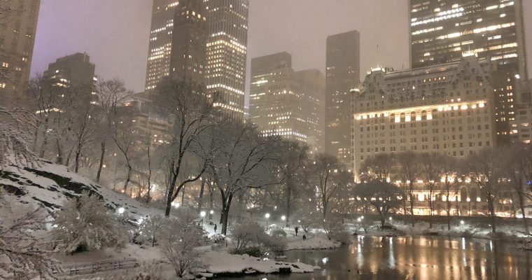 The City and the Snow