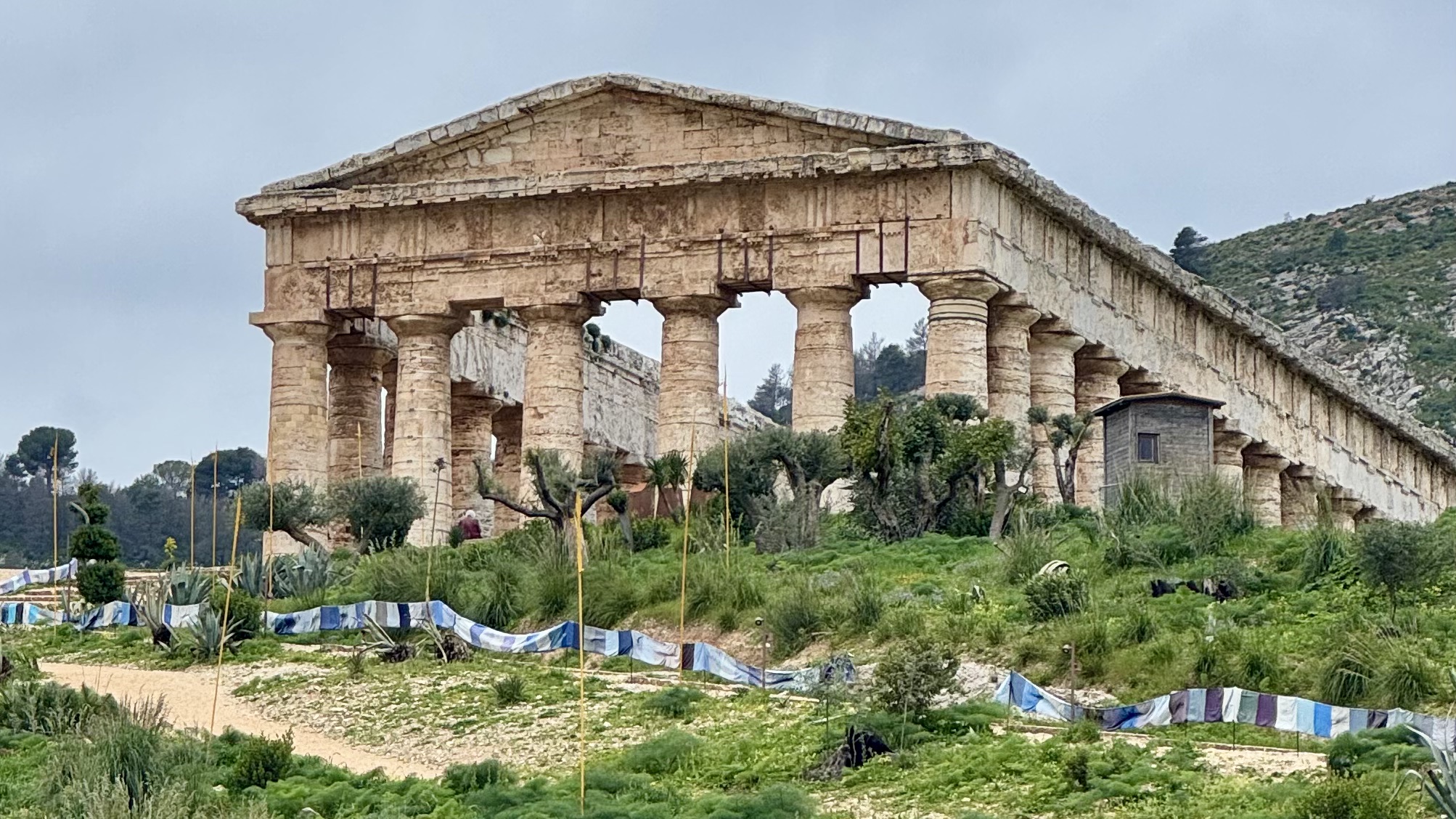 Sicily. Day 3. Palermo. Segesta. Salemi. Trapani.